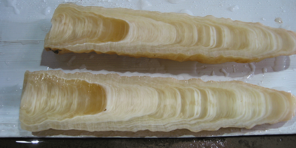 1909_advantages-of-waterjet-cutting Advantages of Using Waterjet Cutting